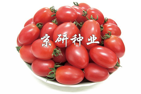 粉玉2號(hào)