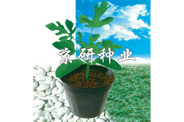 京欣砧2號(hào)