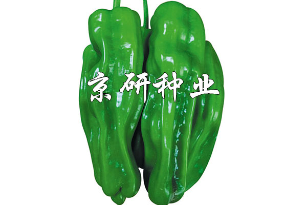 博悅2號(hào)