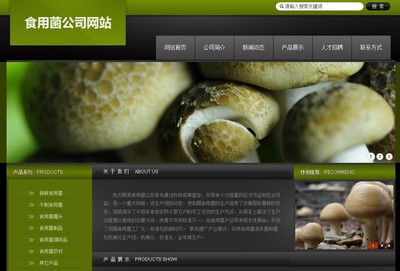 專業(yè)網(wǎng)頁設(shè)計(jì)與網(wǎng)站制作 打造您的數(shù)字門戶與品牌名片